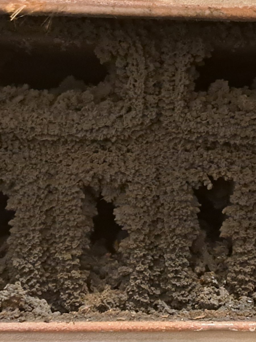 Wassertasche eines Holzofens vorher, stark verrußt